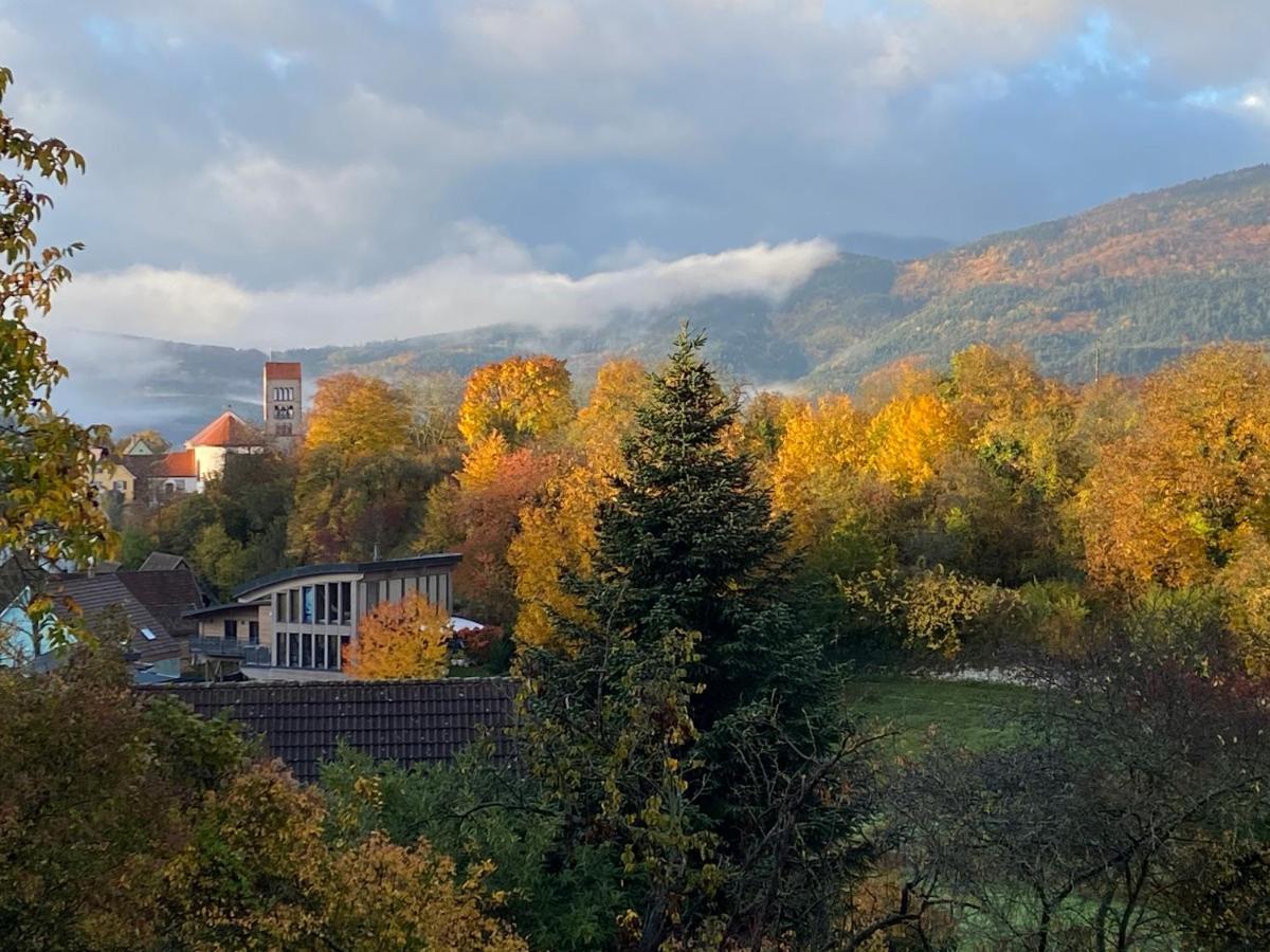 Le Moonloft Insolite Tiny-House Dans Les Arbres & 1 Seance De Sauna Pour 2 Avec Vue Panoramique Osenbach Exterior photo